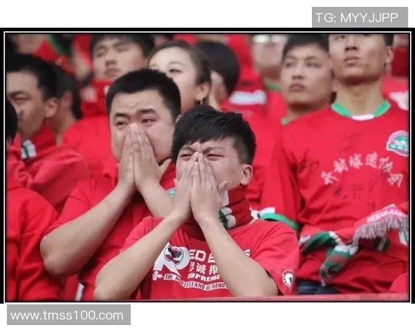 全国锦标赛特别报道：西安足球队拼搏历程与荣耀之路