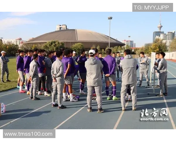 北京乒乓球队在比赛节奏中的得失分析与未来展望