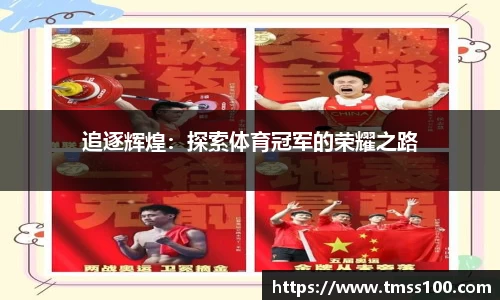 DB视讯真人