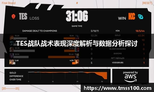 TES战队战术表现深度解析与数据分析探讨