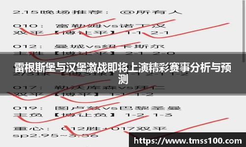 雷根斯堡与汉堡激战即将上演精彩赛事分析与预测
